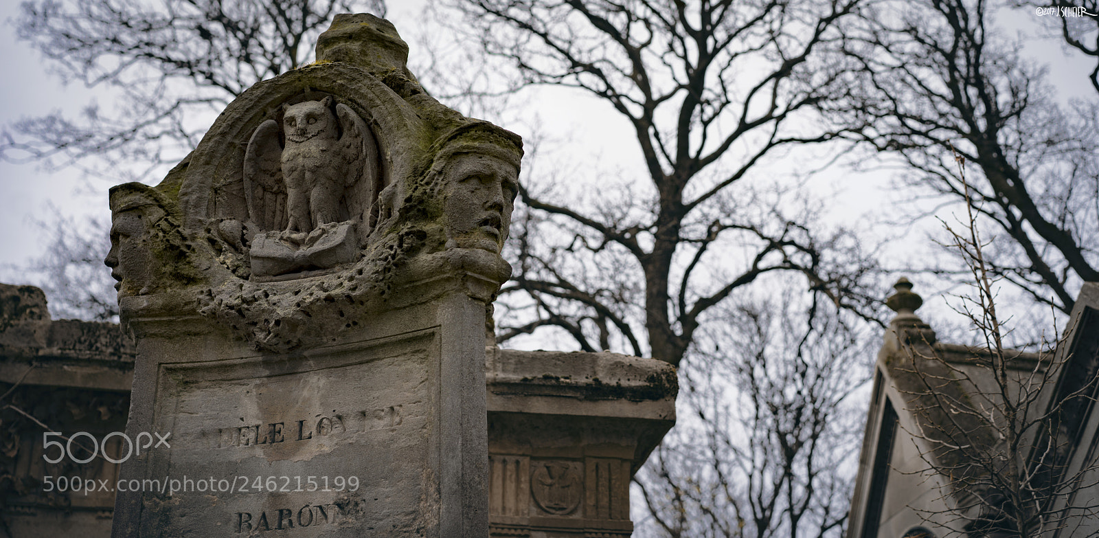 Sony a7R sample photo. The owl watcher photography