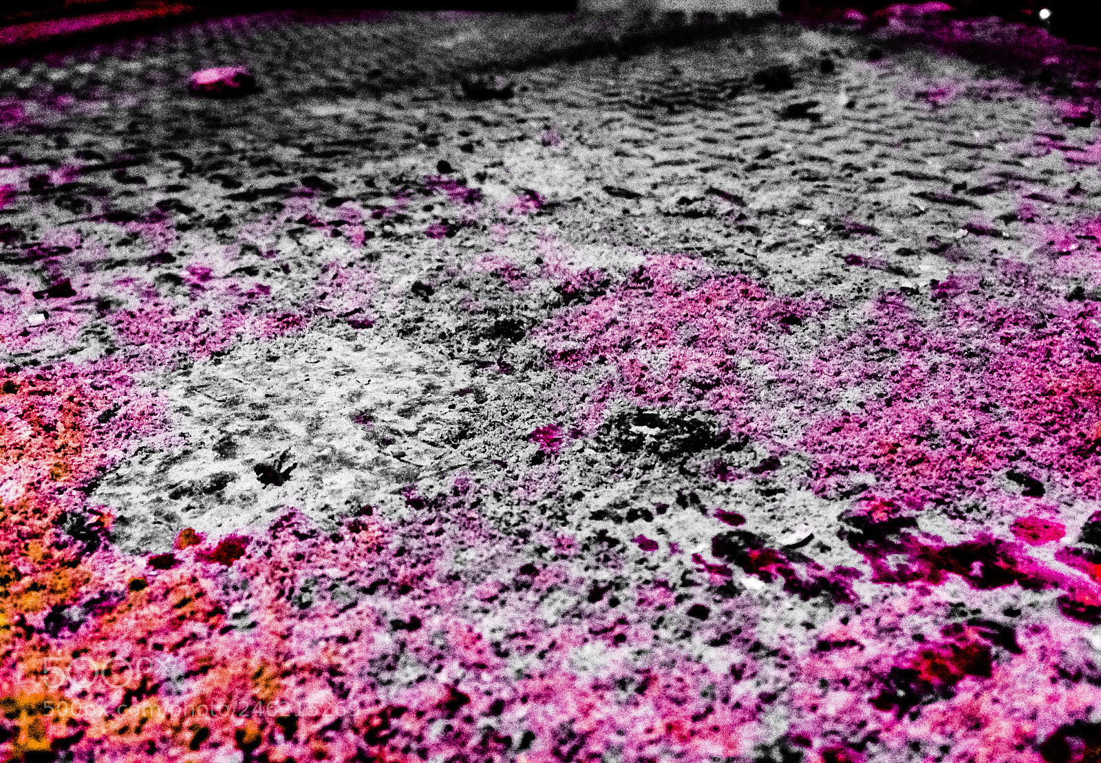 Apple iPhone 5c sample photo. Untitled photography