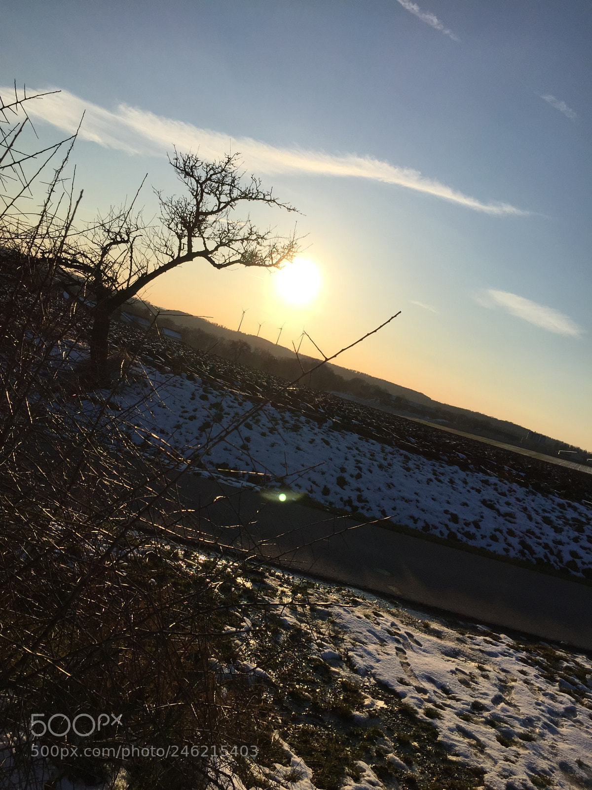 Apple iPhone 6 sample photo. Untitled photography
