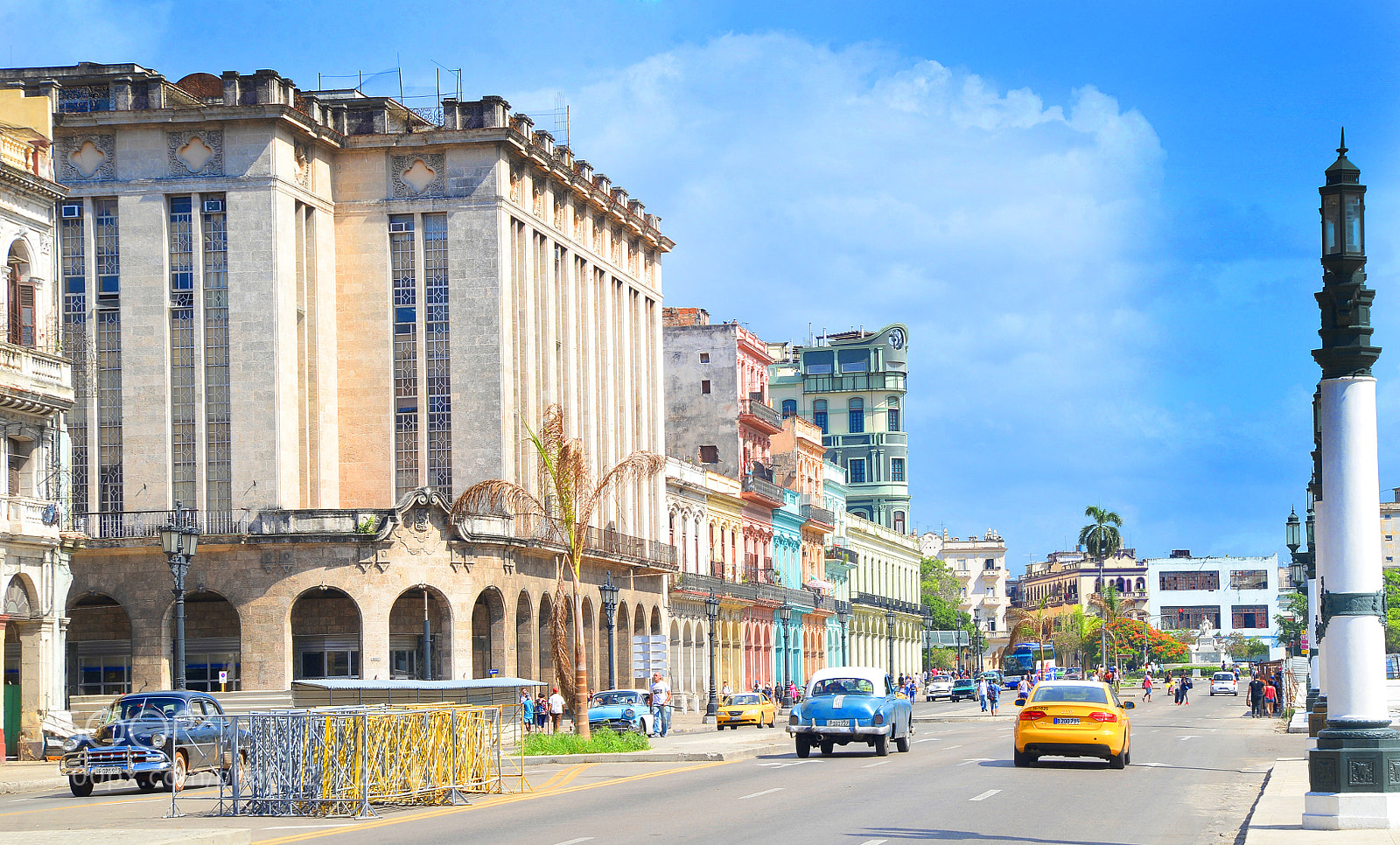 Nikon D610 sample photo. Cuba havana audi cars photography