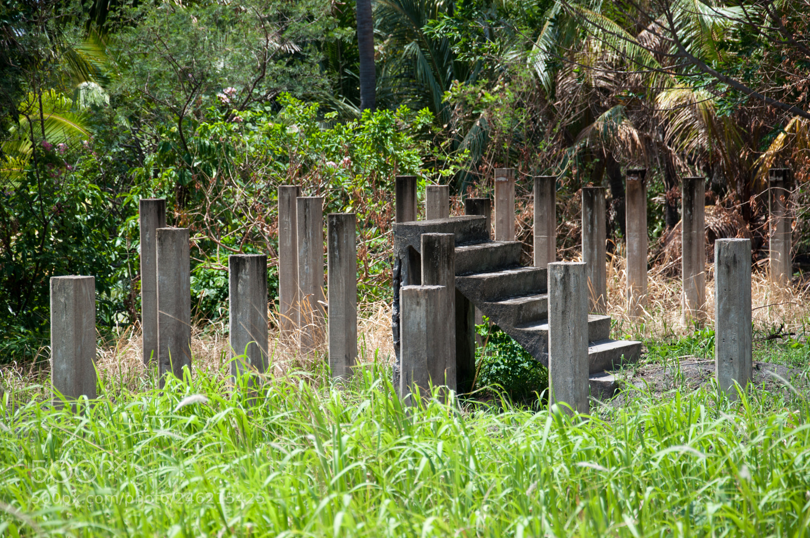 Nikon D5000 sample photo. Old rabaul after eruption photography