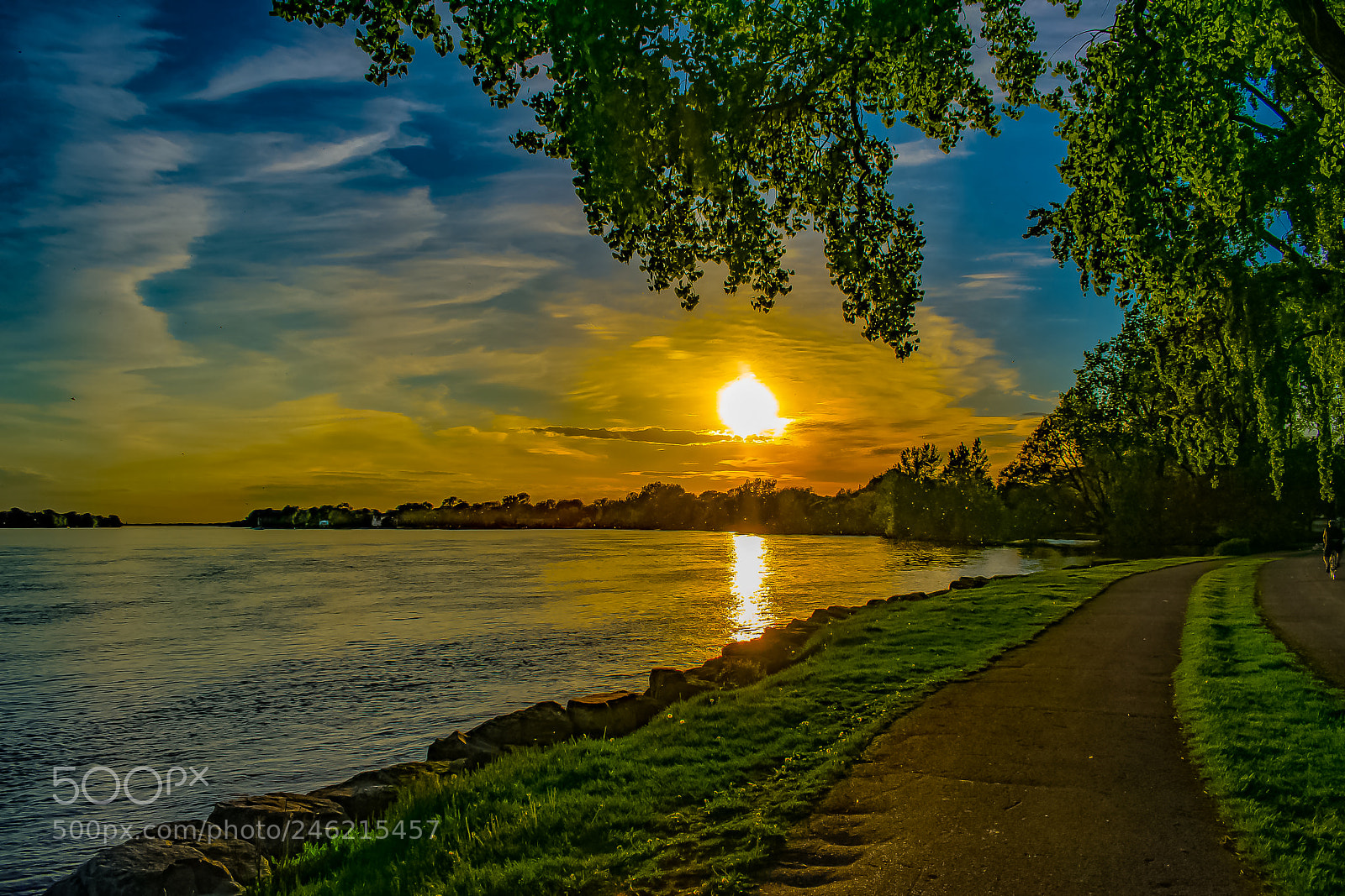 Nikon D3400 sample photo. Sunset in summerlea park photography