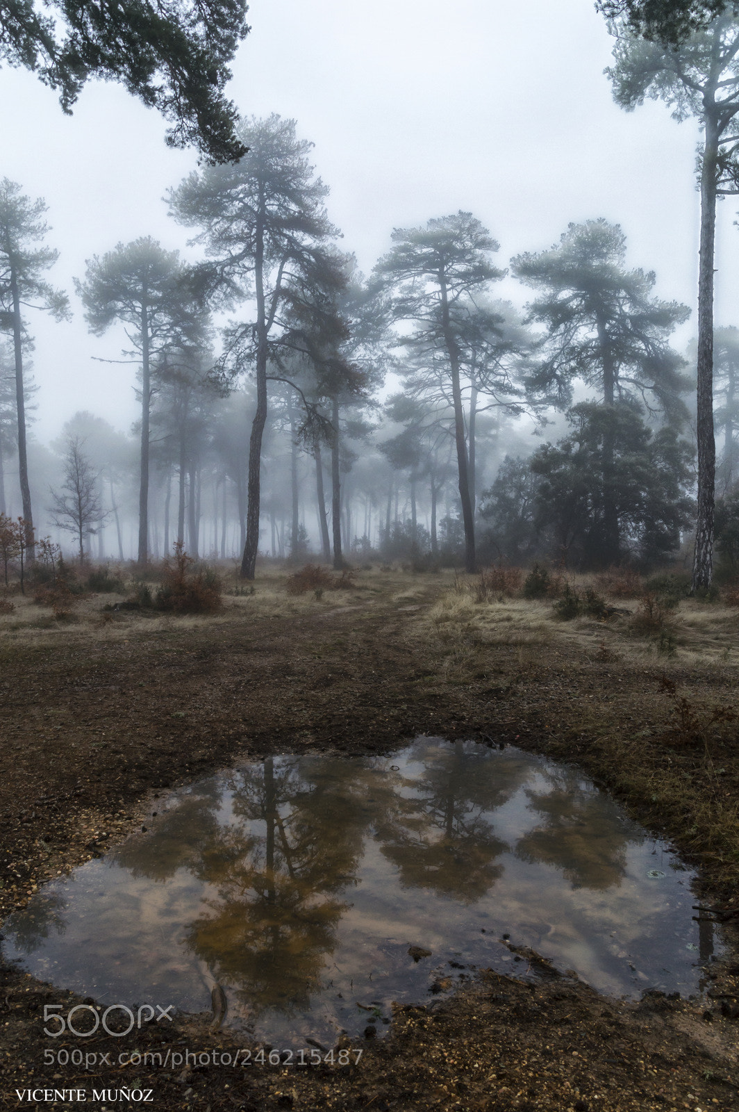 Nikon D3200 sample photo. Parallel worlds photography