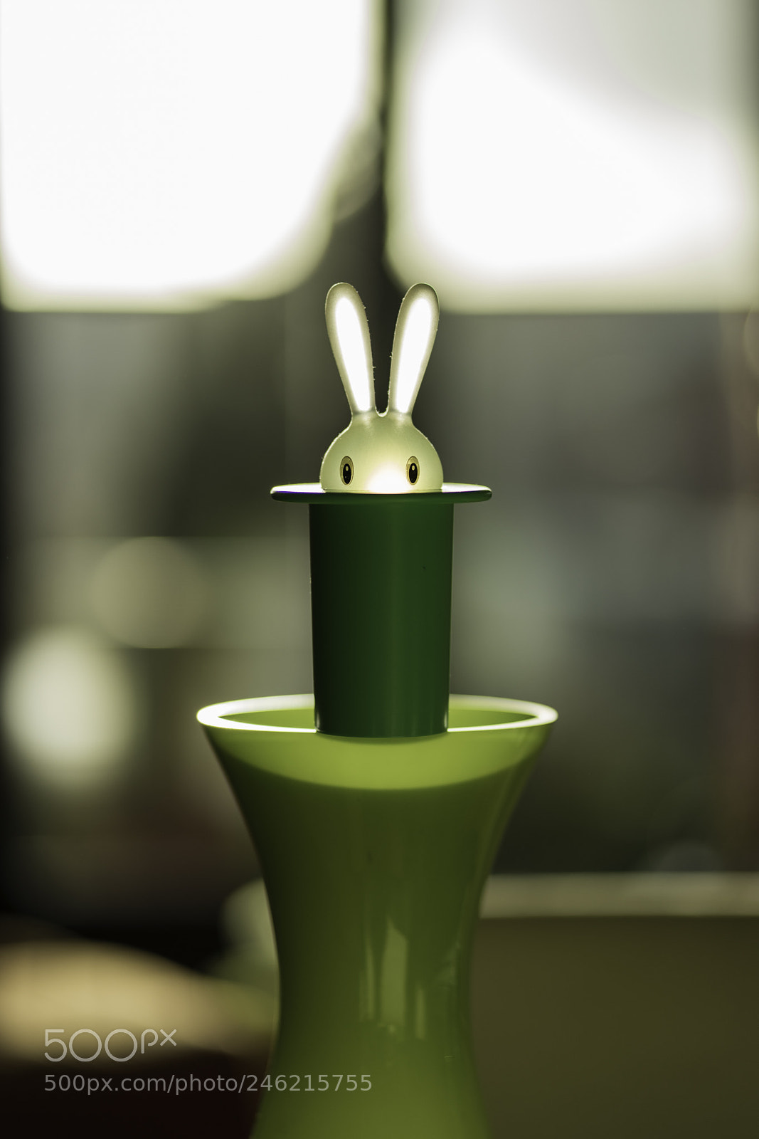 Sony a7 II sample photo. Test shot sony fe photography