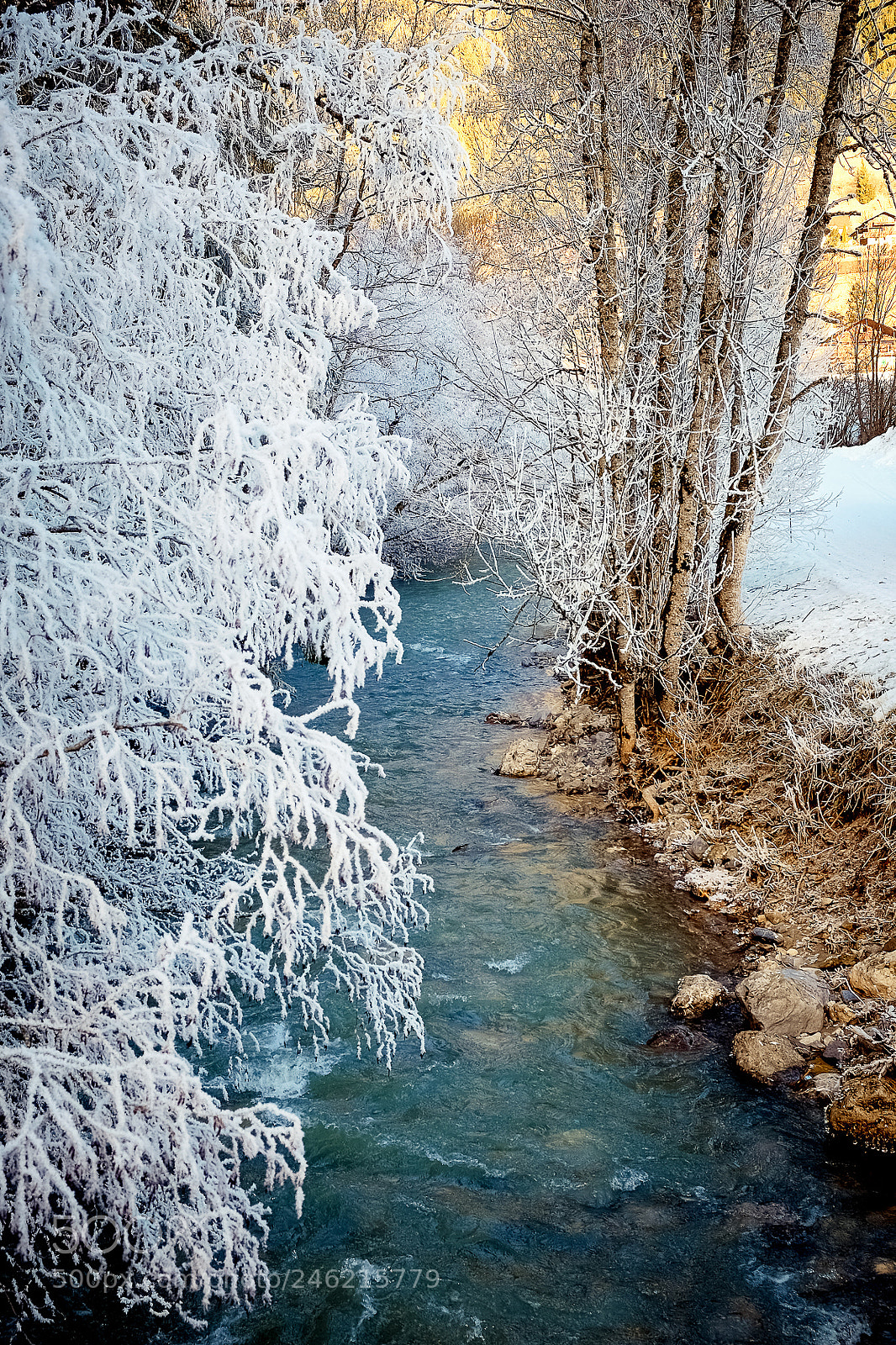 Fujifilm X-T1 sample photo. Winter photography