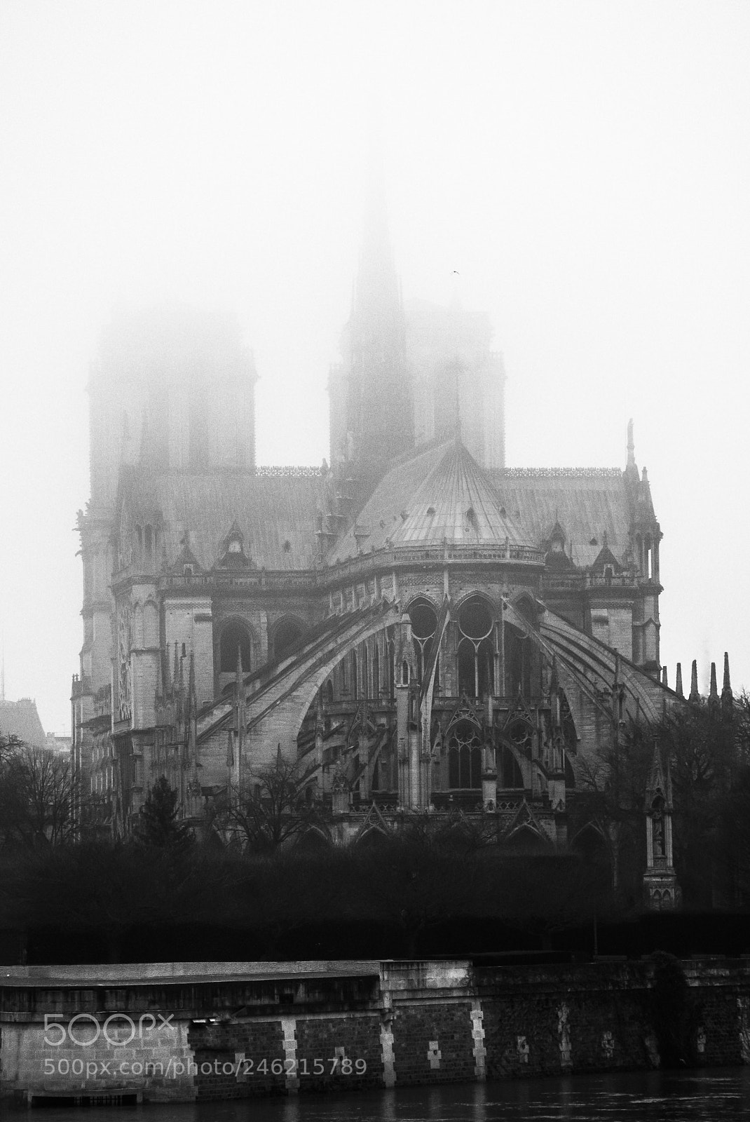 Nikon D7100 sample photo. Notre-dame photography