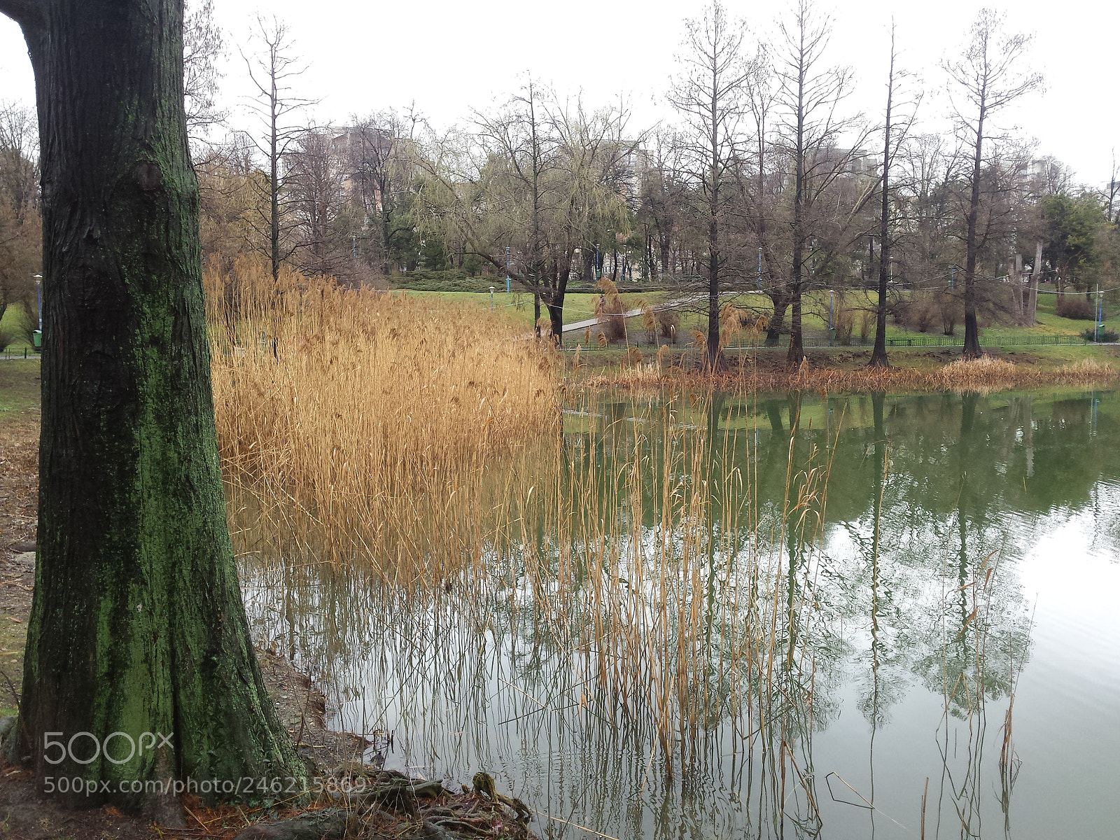 Samsung Galaxy S4 sample photo. Untitled photography