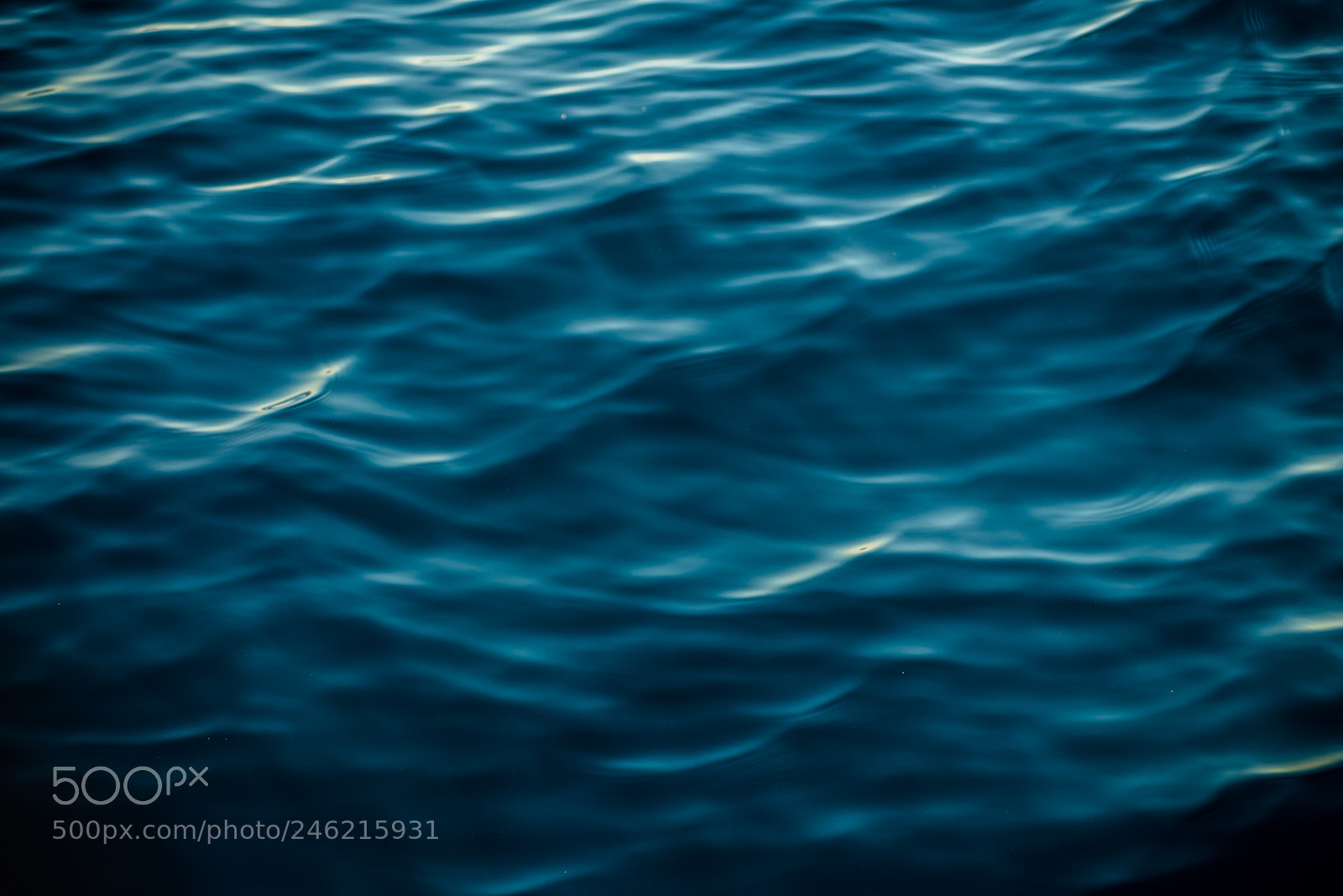 Nikon D800 sample photo. Shades of blue photography