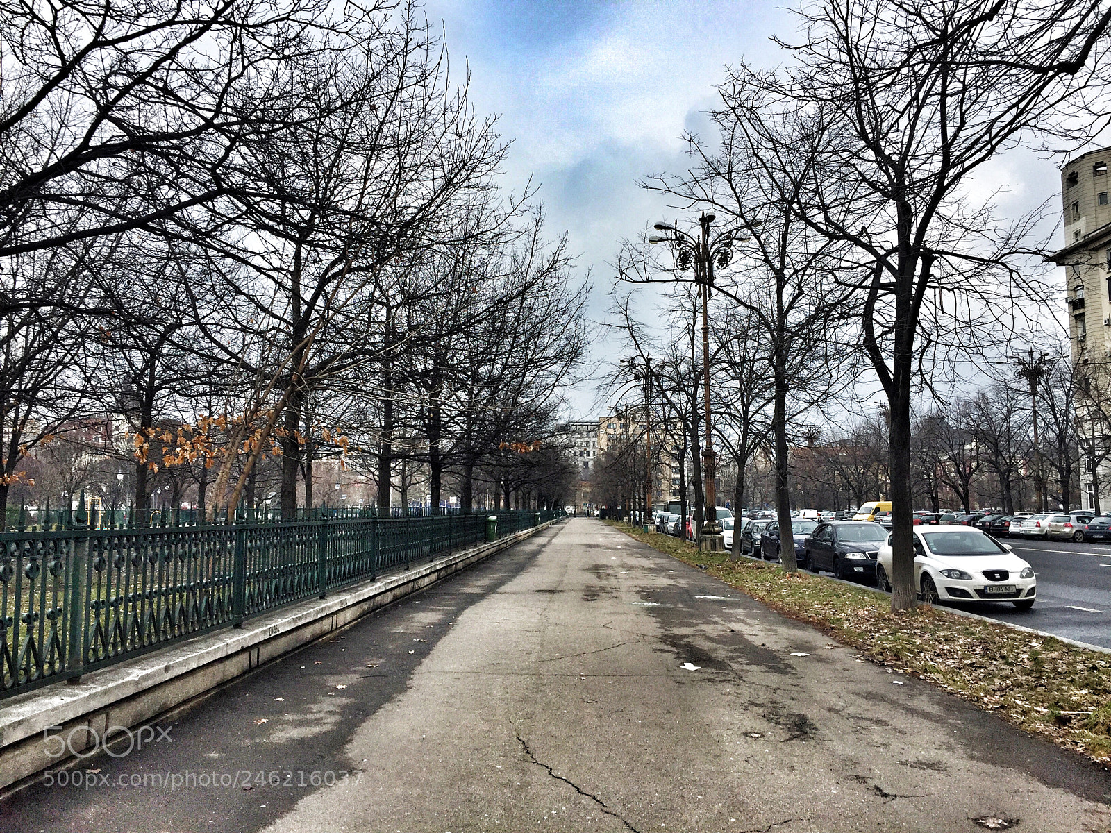 Apple iPhone 6 sample photo. Dream.? photography