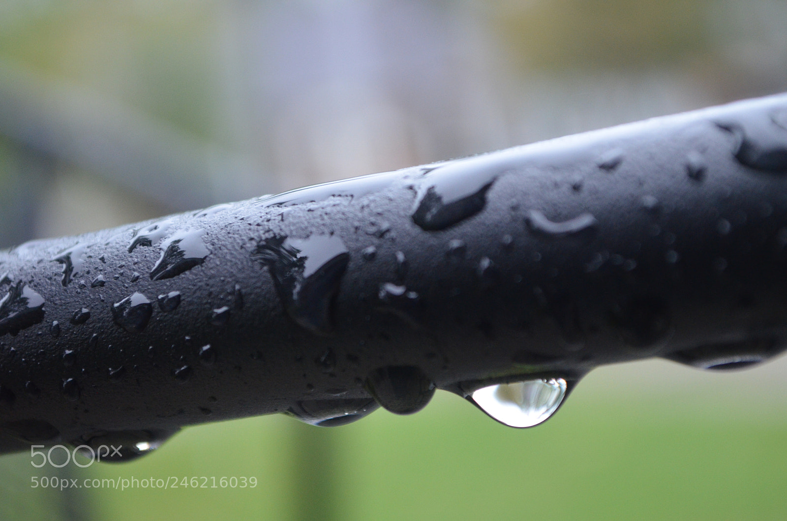 Nikon D5100 sample photo. Raindrops photography