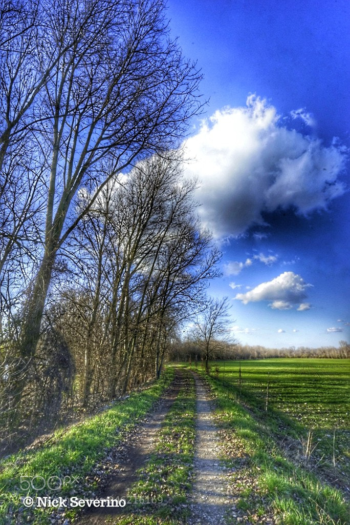 Sony a7R sample photo. Path photography