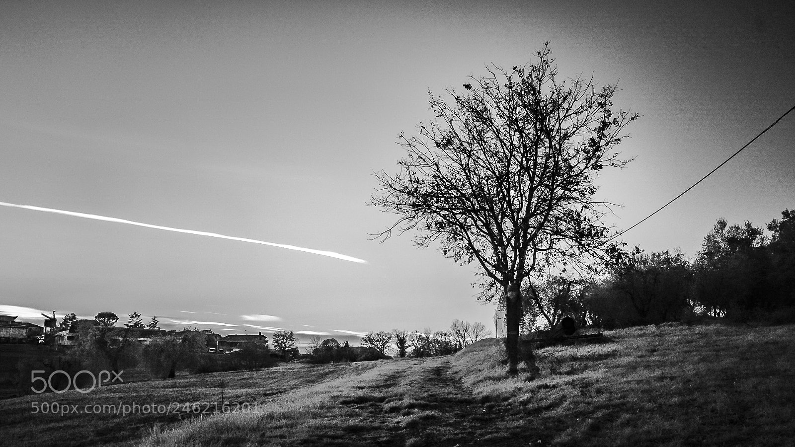 Fujifilm FinePix X100 sample photo. Dsf photography