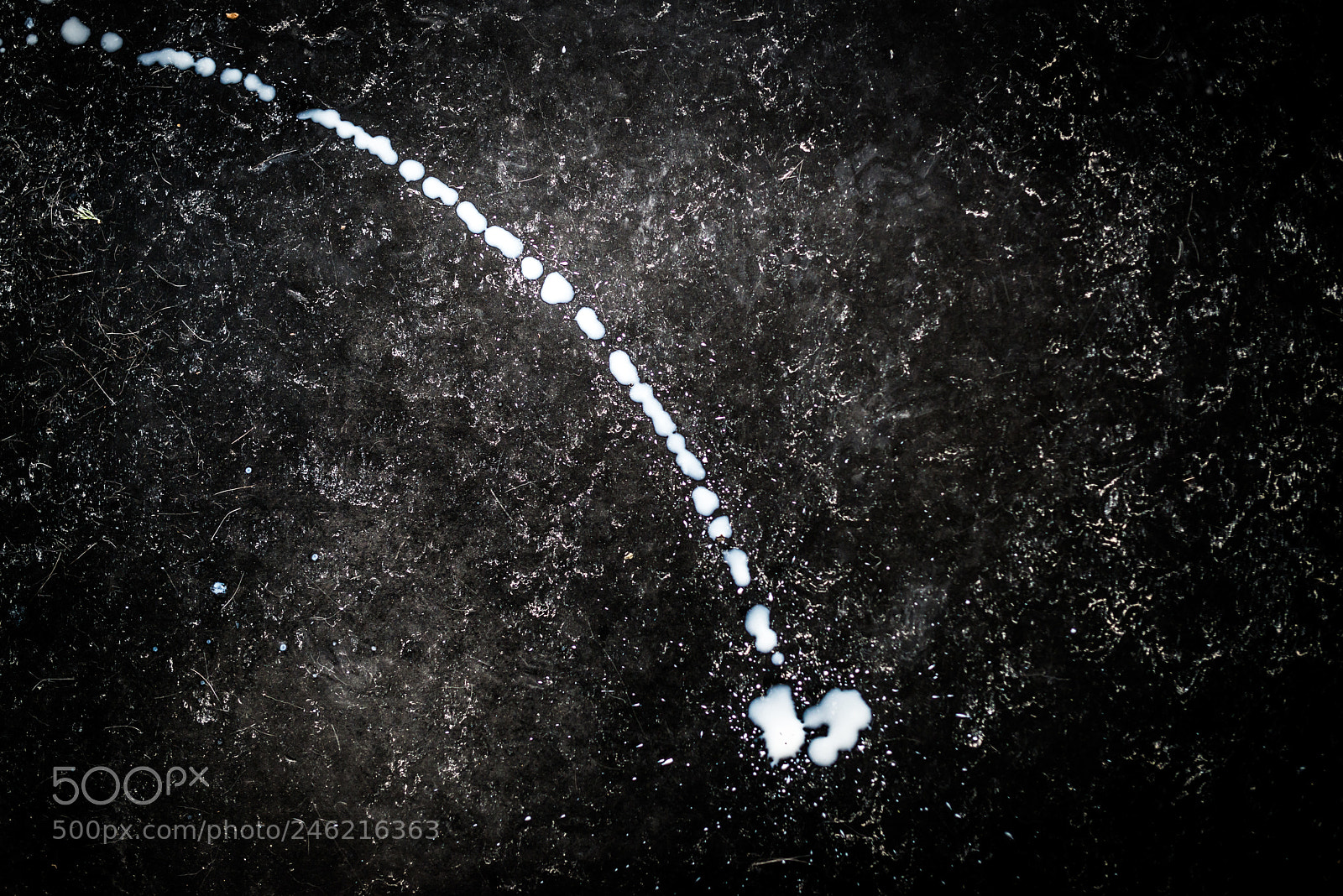 Nikon D800 sample photo. Milky way photography
