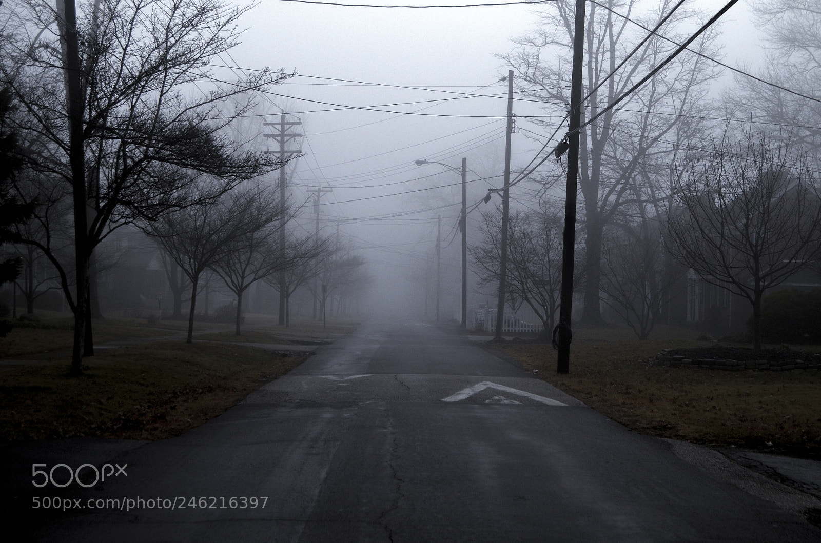 Nikon D5100 sample photo. Foggy night photography