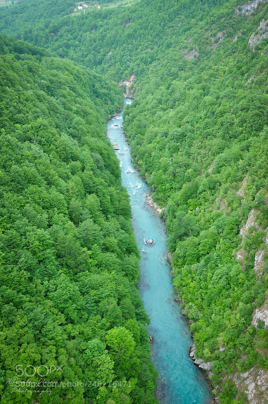 Nikon D90 sample photo. Montenegro | tara river photography