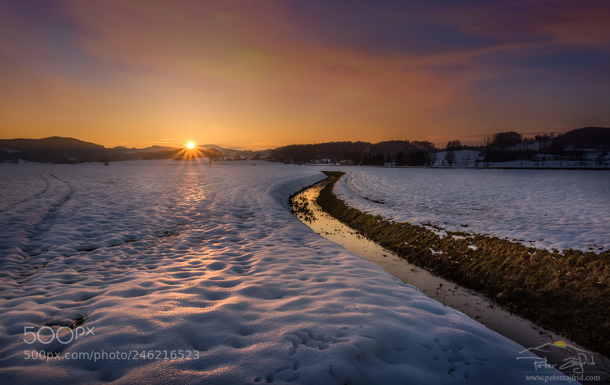 Nikon D810 sample photo. Into the sunset photography