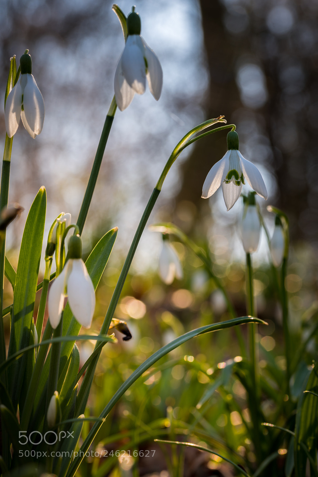 Nikon D810 sample photo. One fine afternoon photography