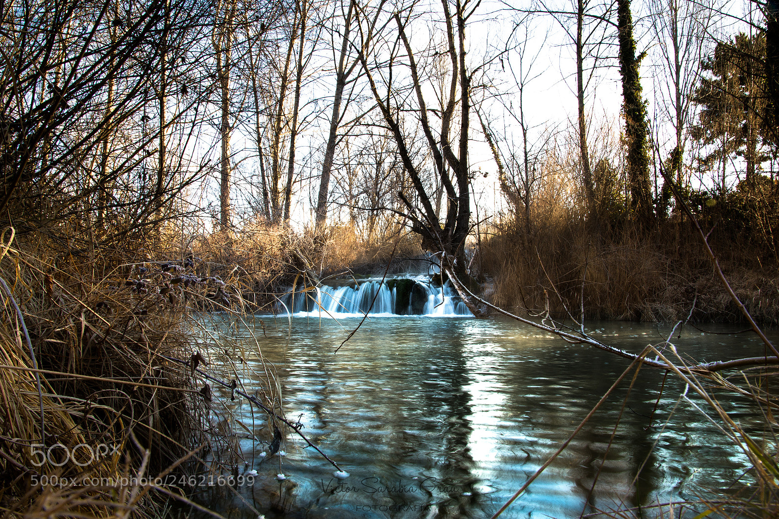 Nikon D7500 sample photo. Vsg photography