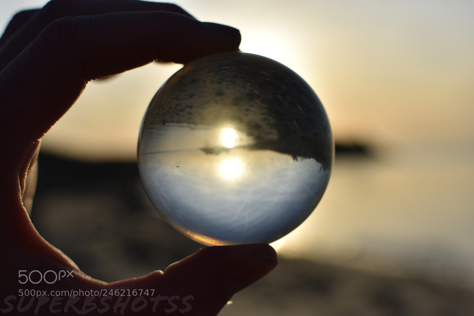 Nikon D3400 sample photo. Untitled photography