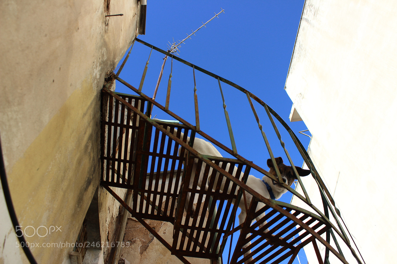 Canon EOS 600D (Rebel EOS T3i / EOS Kiss X5) sample photo. From below photography