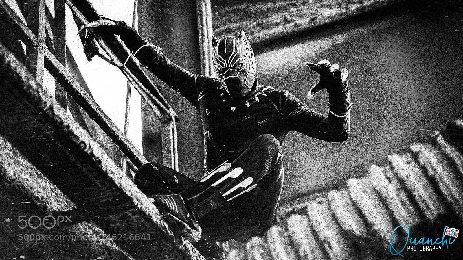 Sony a7 II sample photo. Black panther photography