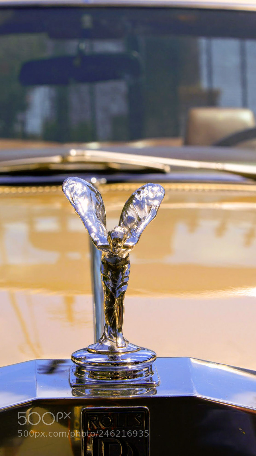 Sony Alpha DSLR-A200 sample photo. Rr photography