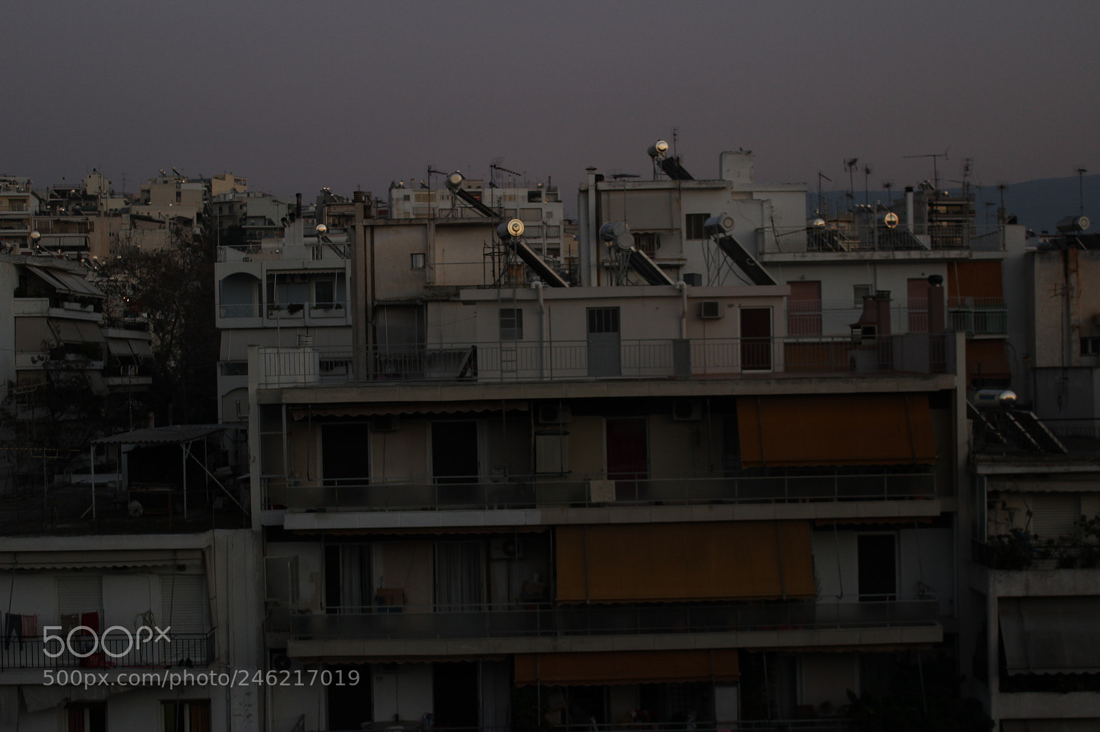 Canon EOS 600D (Rebel EOS T3i / EOS Kiss X5) sample photo. Starring at the sun photography