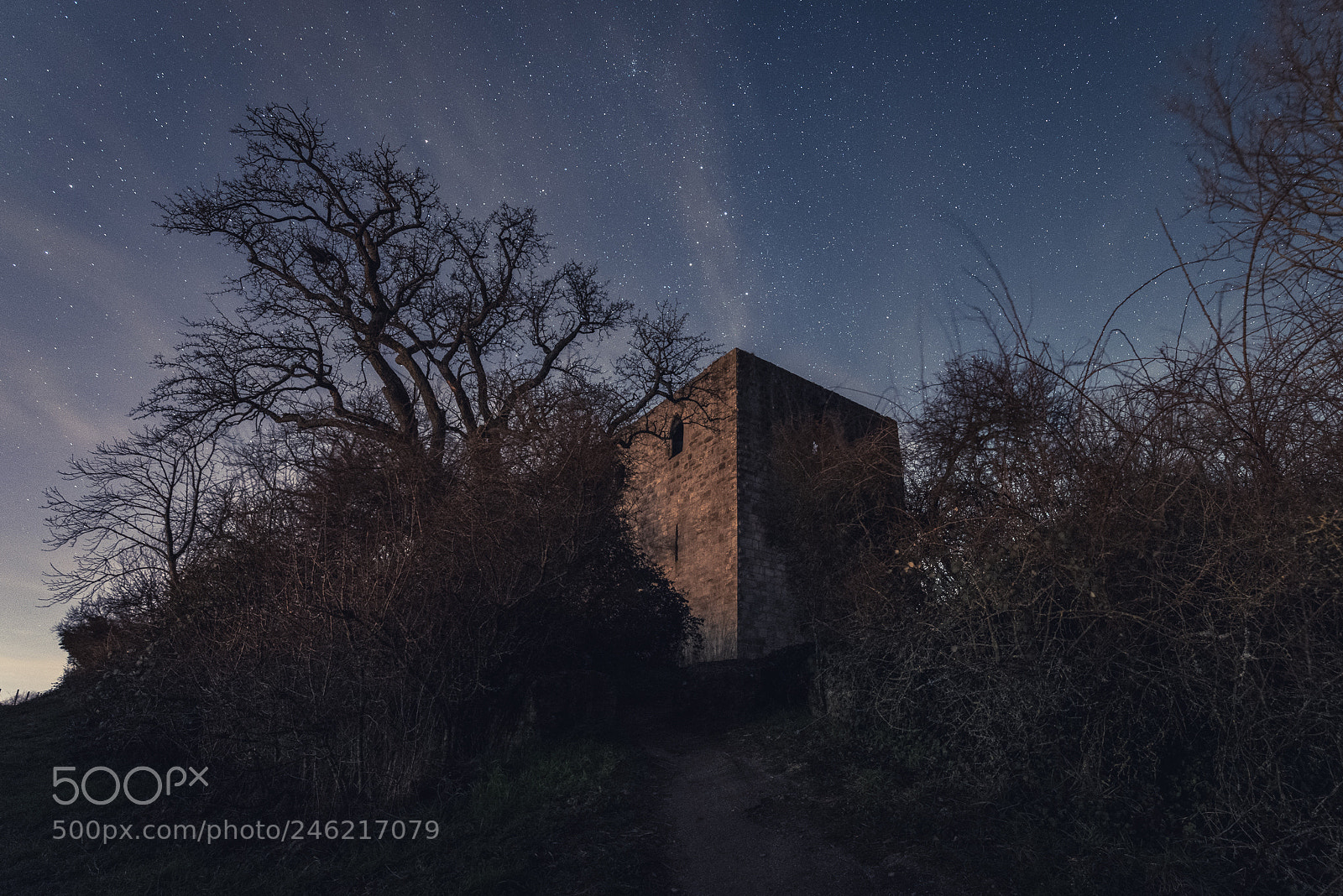 Pentax K-1 sample photo. At the castle ruin photography