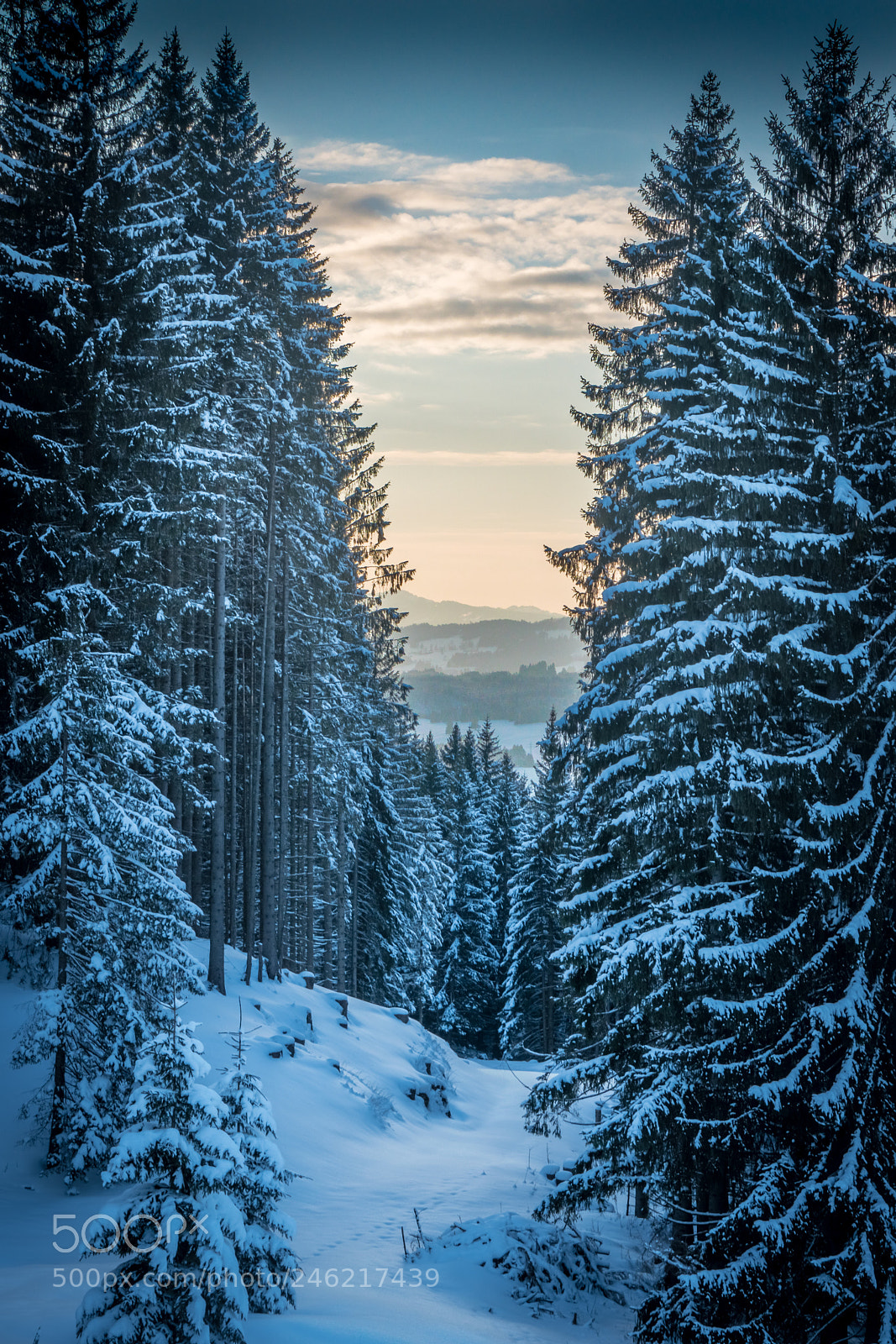 Sony a6300 sample photo. Allgäu winter landscape photography