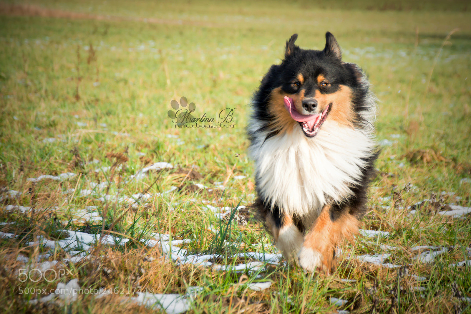 Nikon D5200 sample photo. – kopie photography