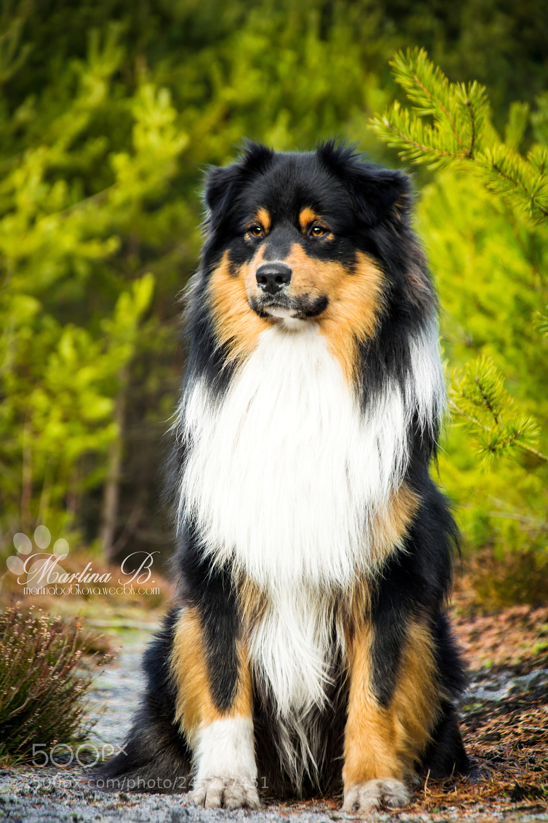 Nikon D5200 sample photo. – kopie photography