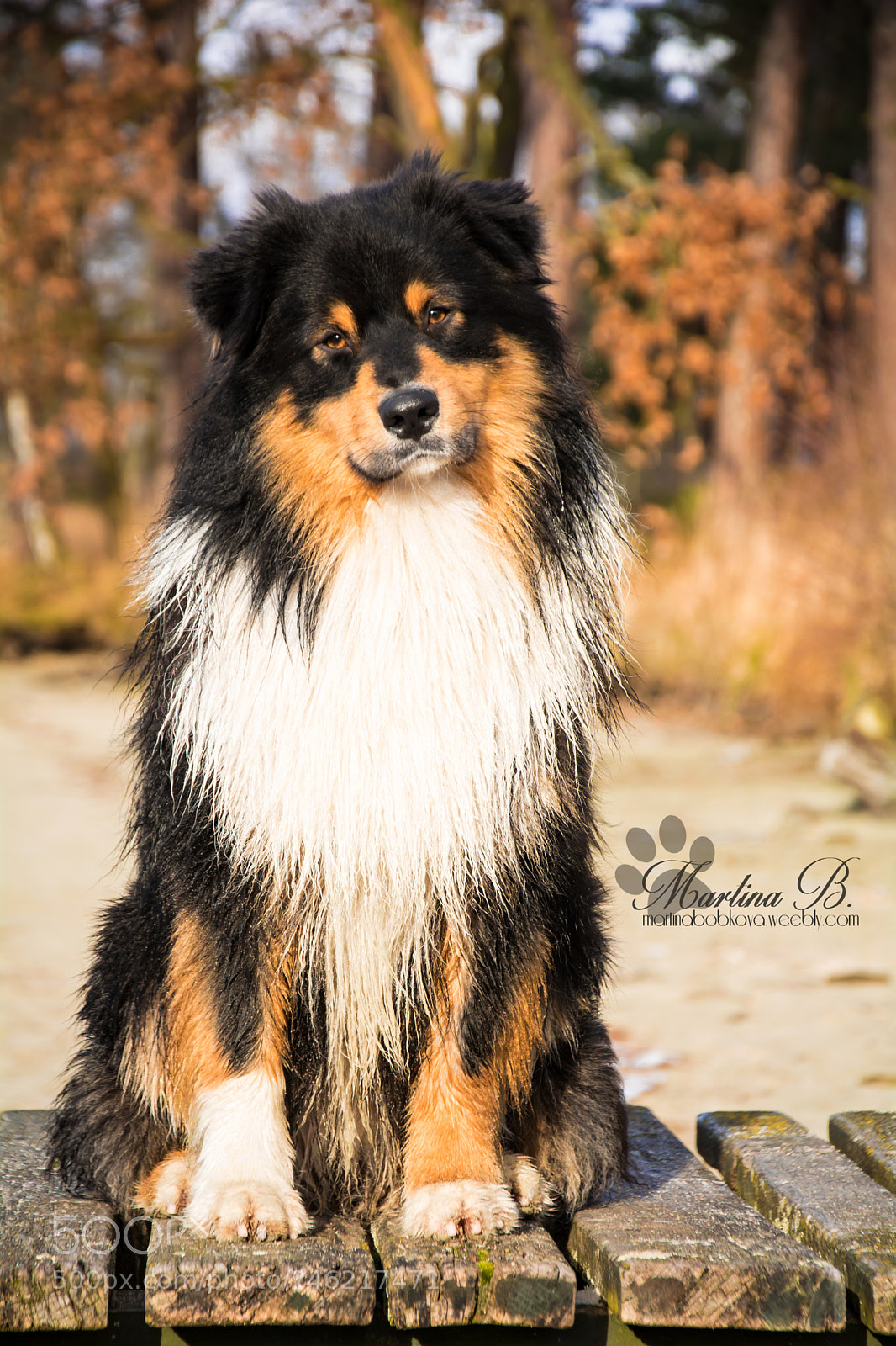 Nikon D5200 sample photo. – kopie photography