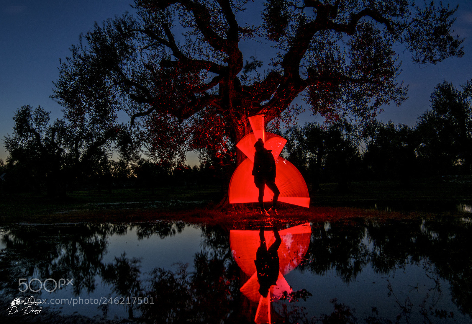 Nikon D5200 sample photo. Trees and red light... photography