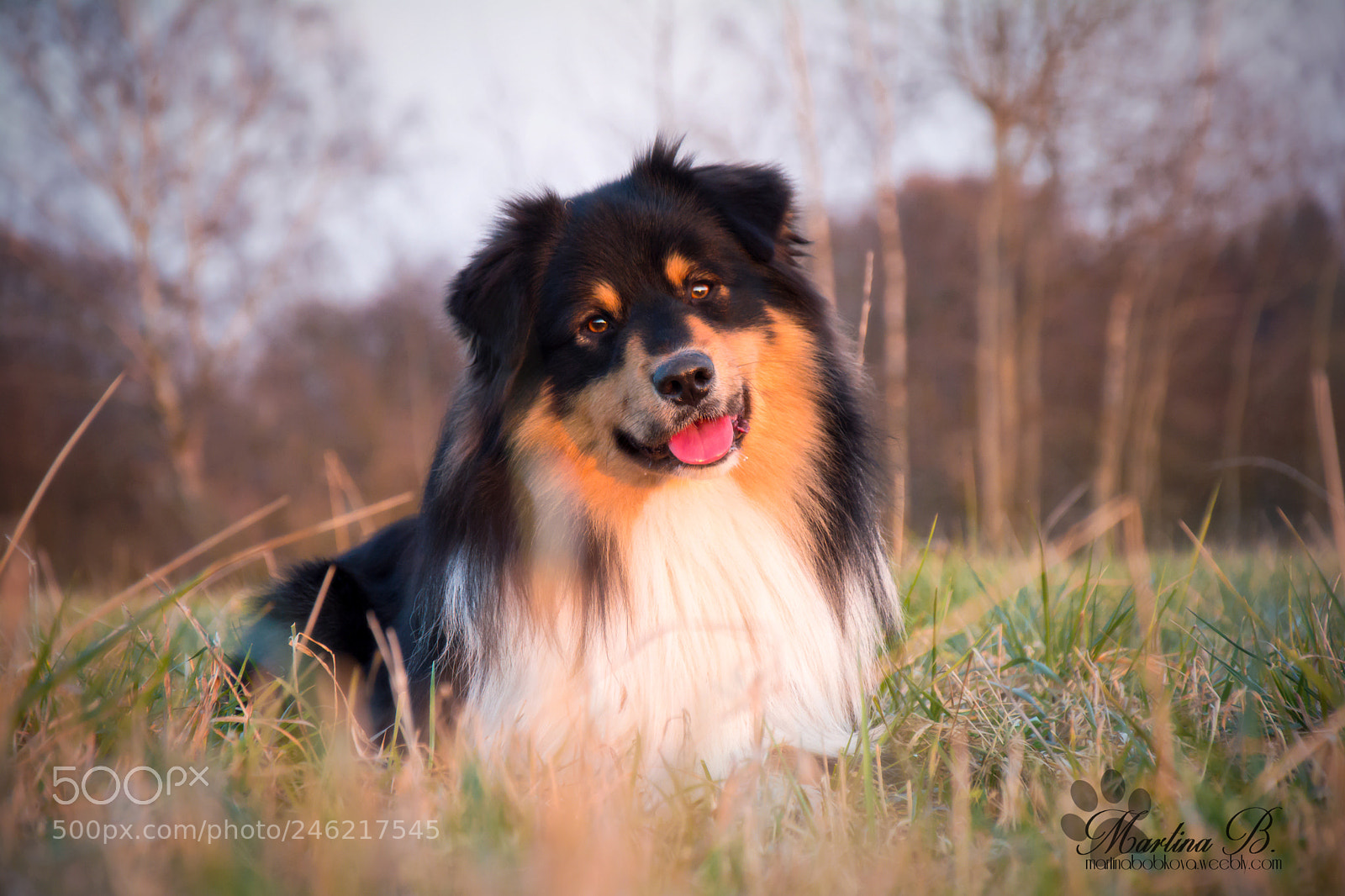 Nikon D5200 sample photo. – kopie photography