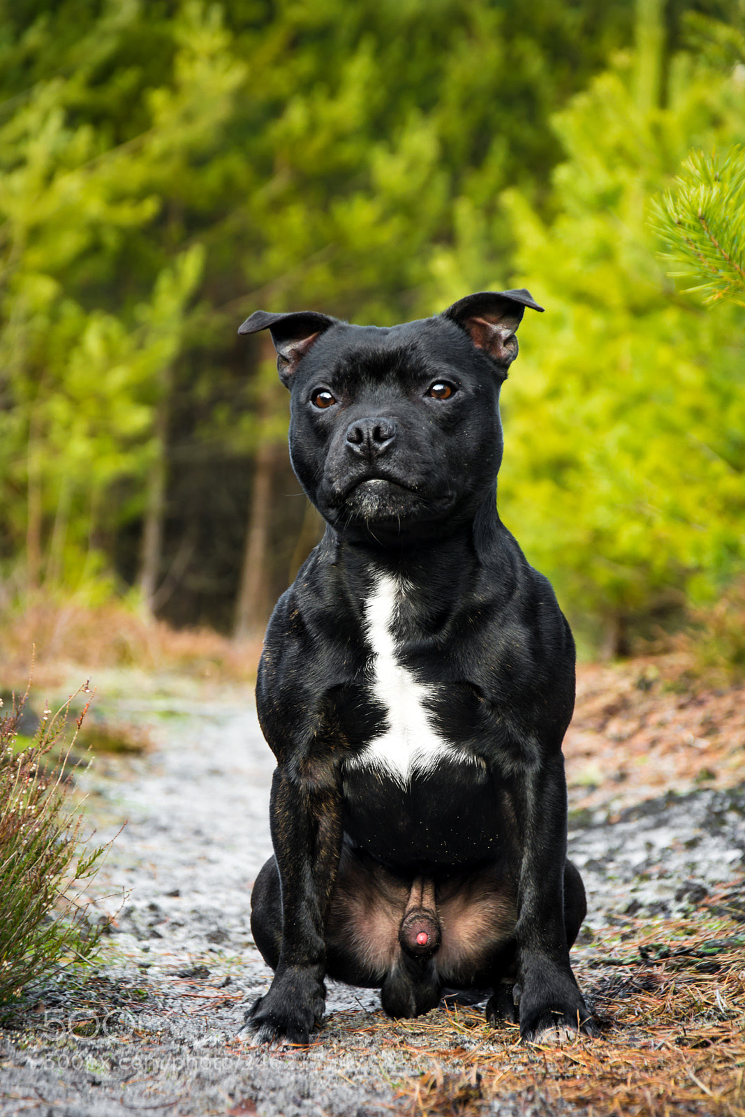 Nikon D5200 sample photo. – kopie photography