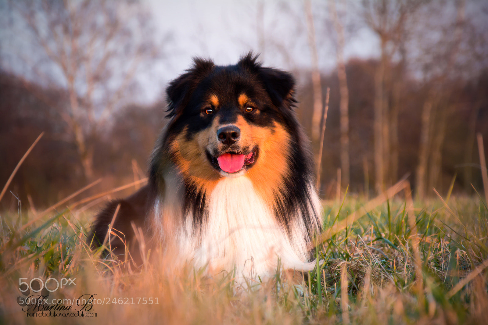 Nikon D5200 sample photo. – kopie photography