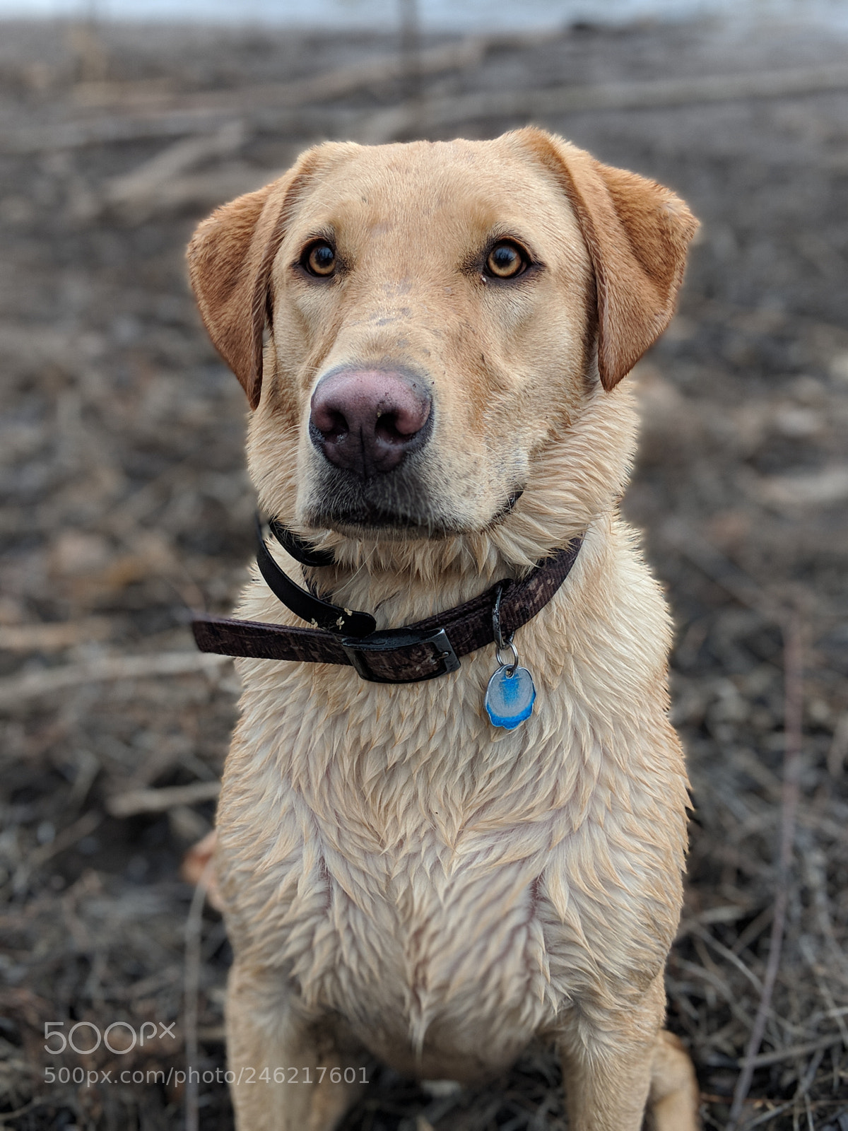 Google Pixel 2 sample photo. Untitled photography