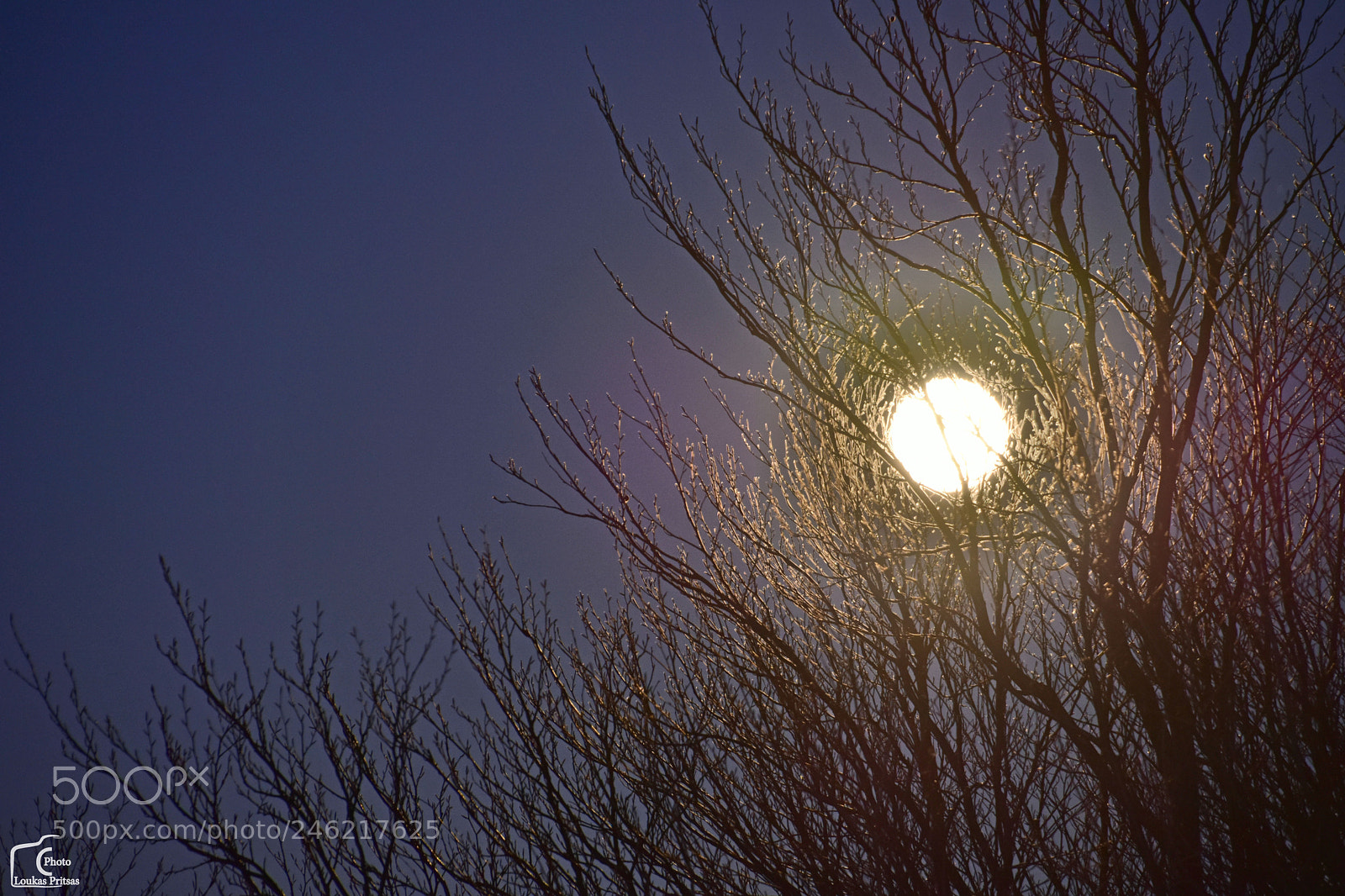 Nikon D7200 sample photo. Full moon photography