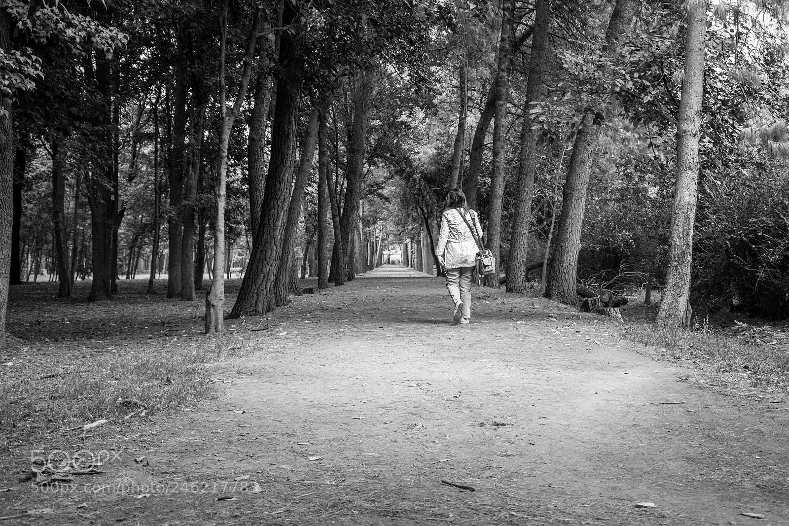 Nikon D7100 sample photo. Solitaria en el camino photography
