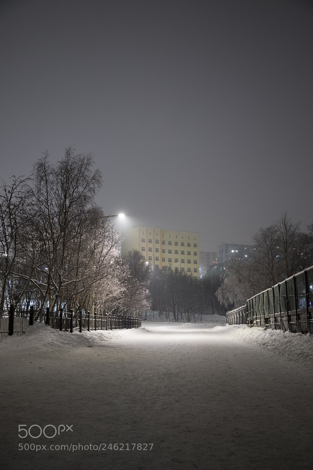Canon EOS 6D Mark II sample photo. Img photography