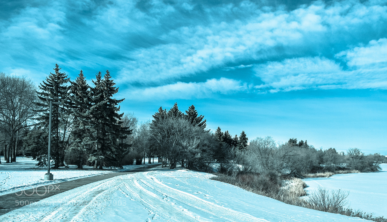 Nikon D5500 sample photo. Wascana in winter photography