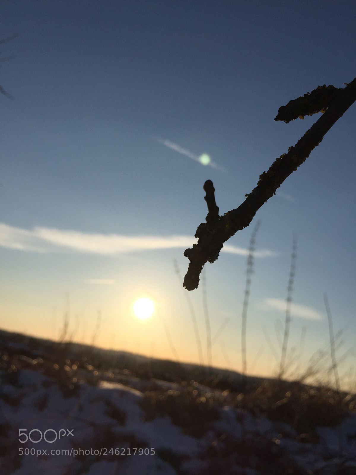 Apple iPhone 6 sample photo. Untitled photography