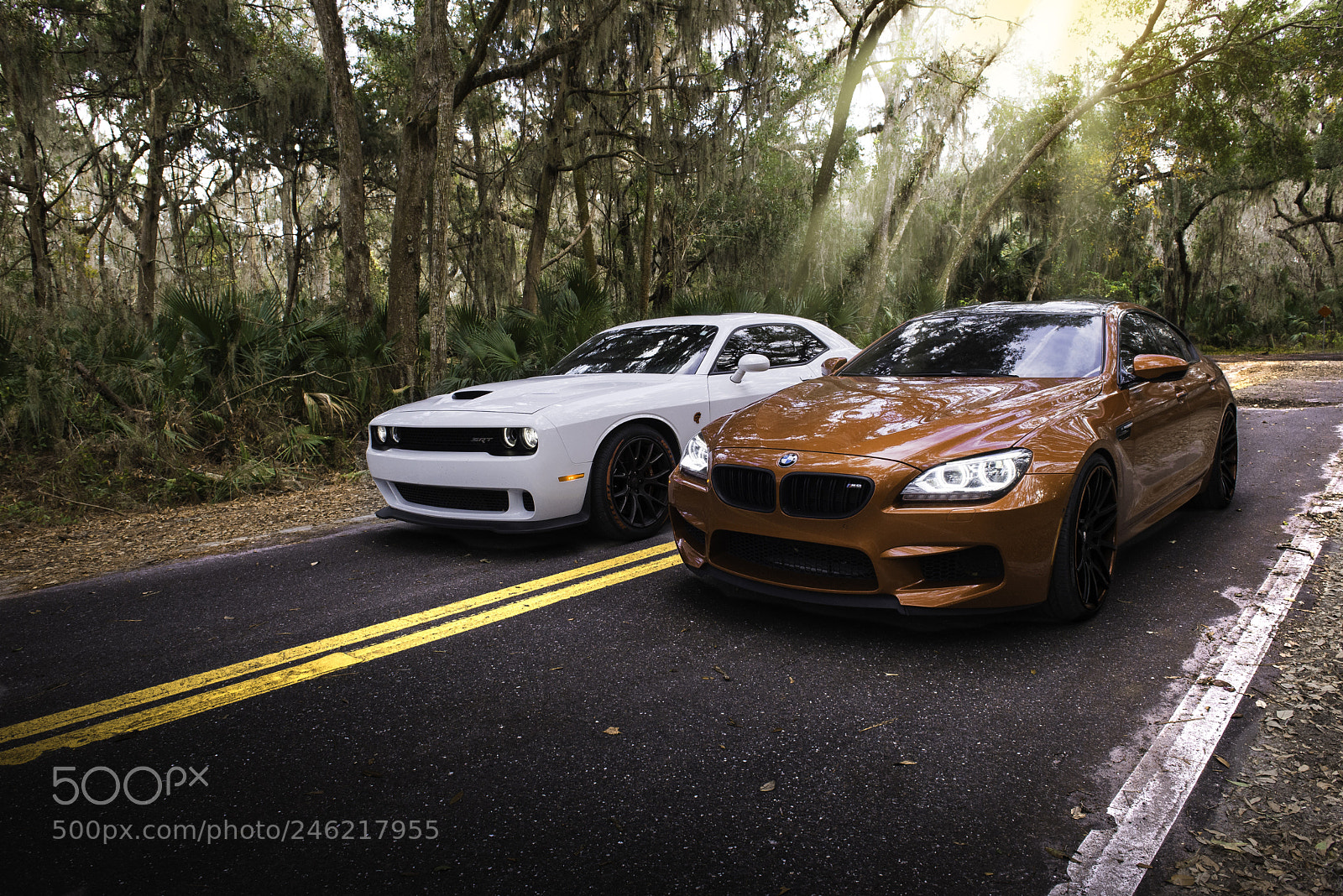 Nikon D610 sample photo. Racing stripes photography