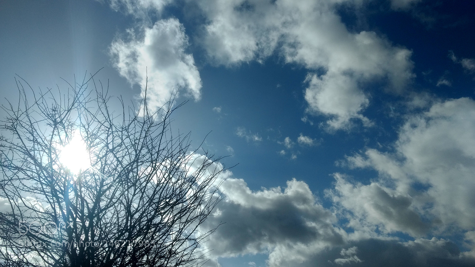 Motorola Moto G (4) sample photo. Winter sky photography