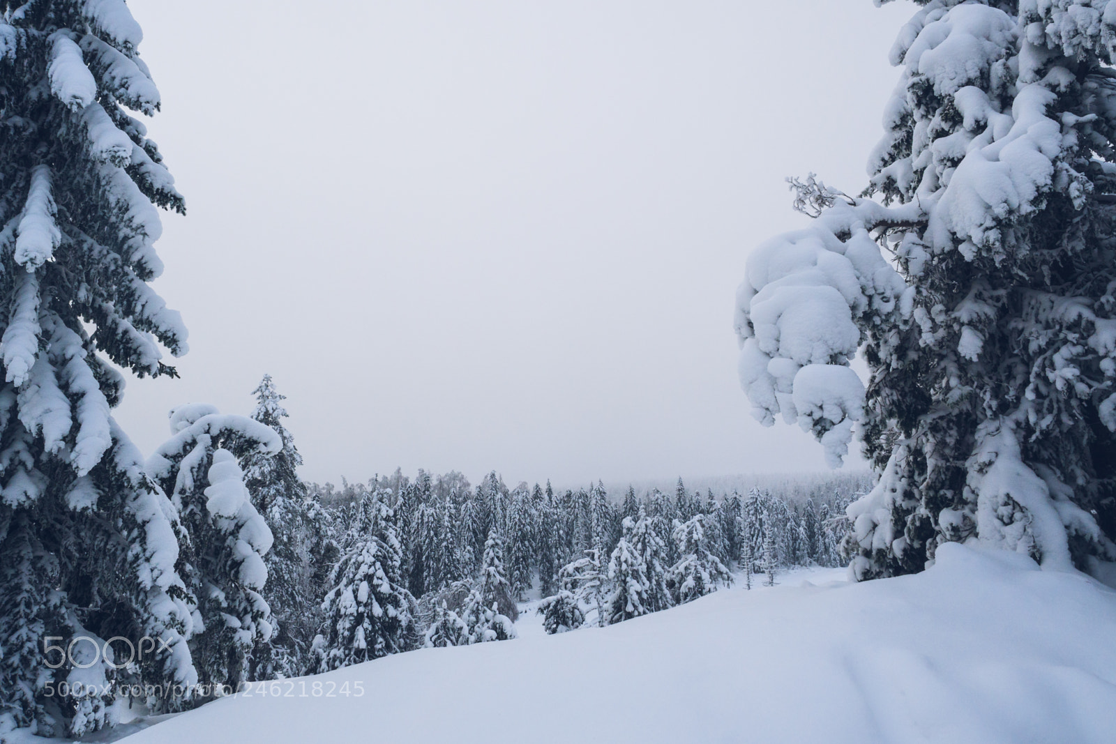 Olympus OM-D E-M10 sample photo. White tranquility photography