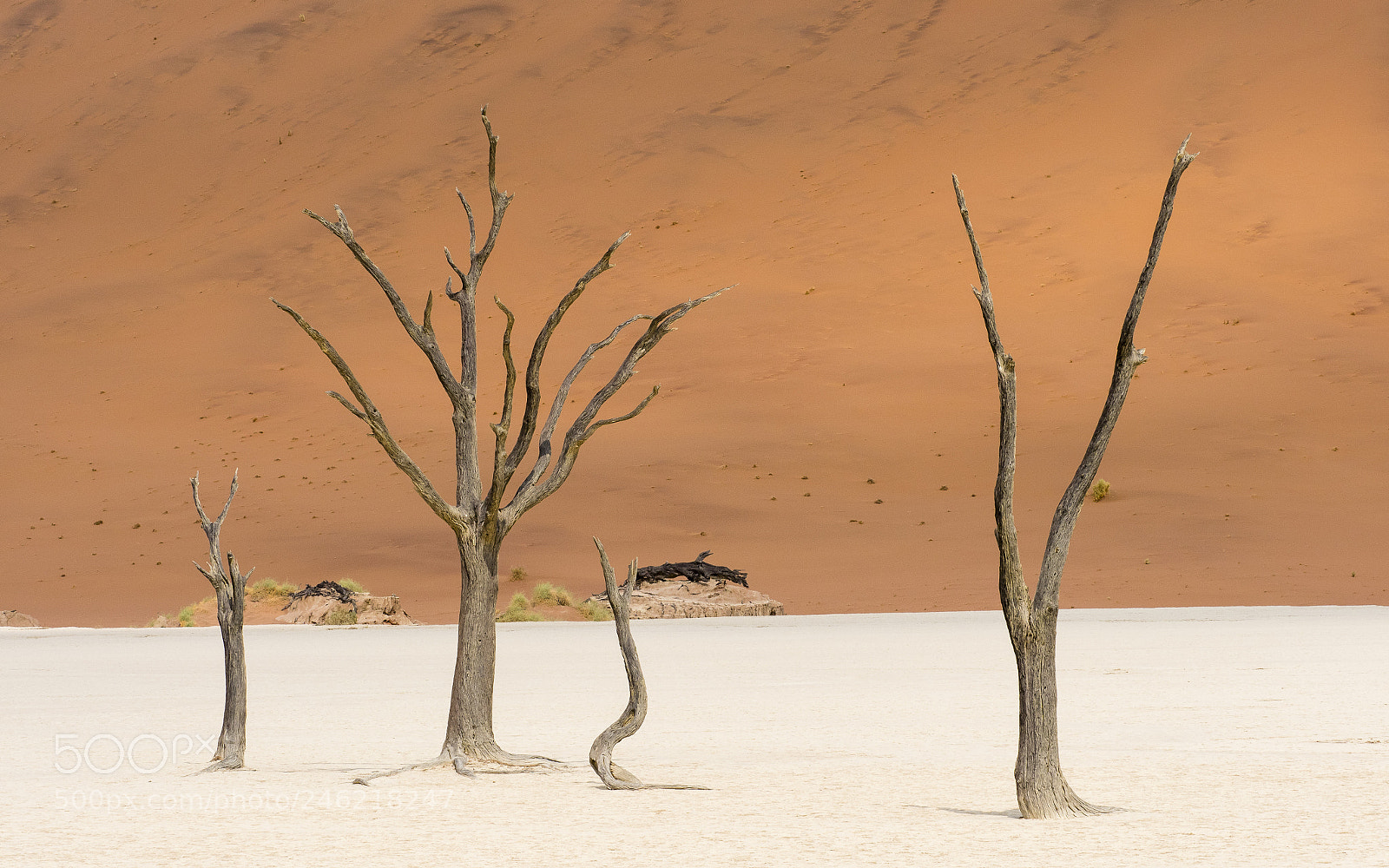 Olympus OM-D E-M1 Mark II sample photo. Deadvlei photography