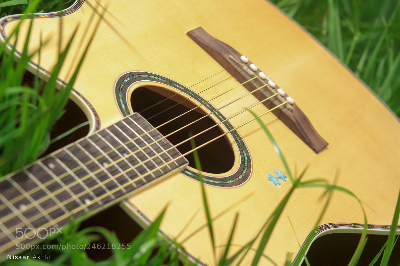 Canon EOS 100D (EOS Rebel SL1 / EOS Kiss X7) sample photo. The guitar photography