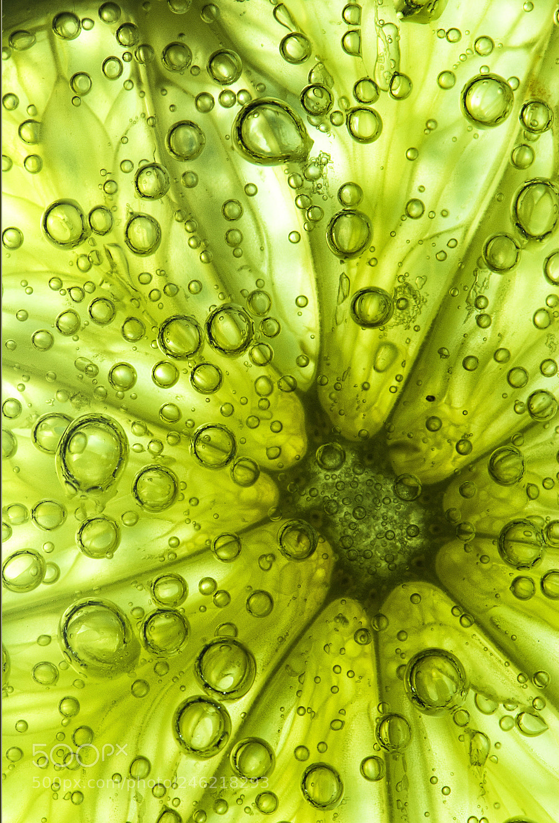 Nikon D60 sample photo. Lime photography