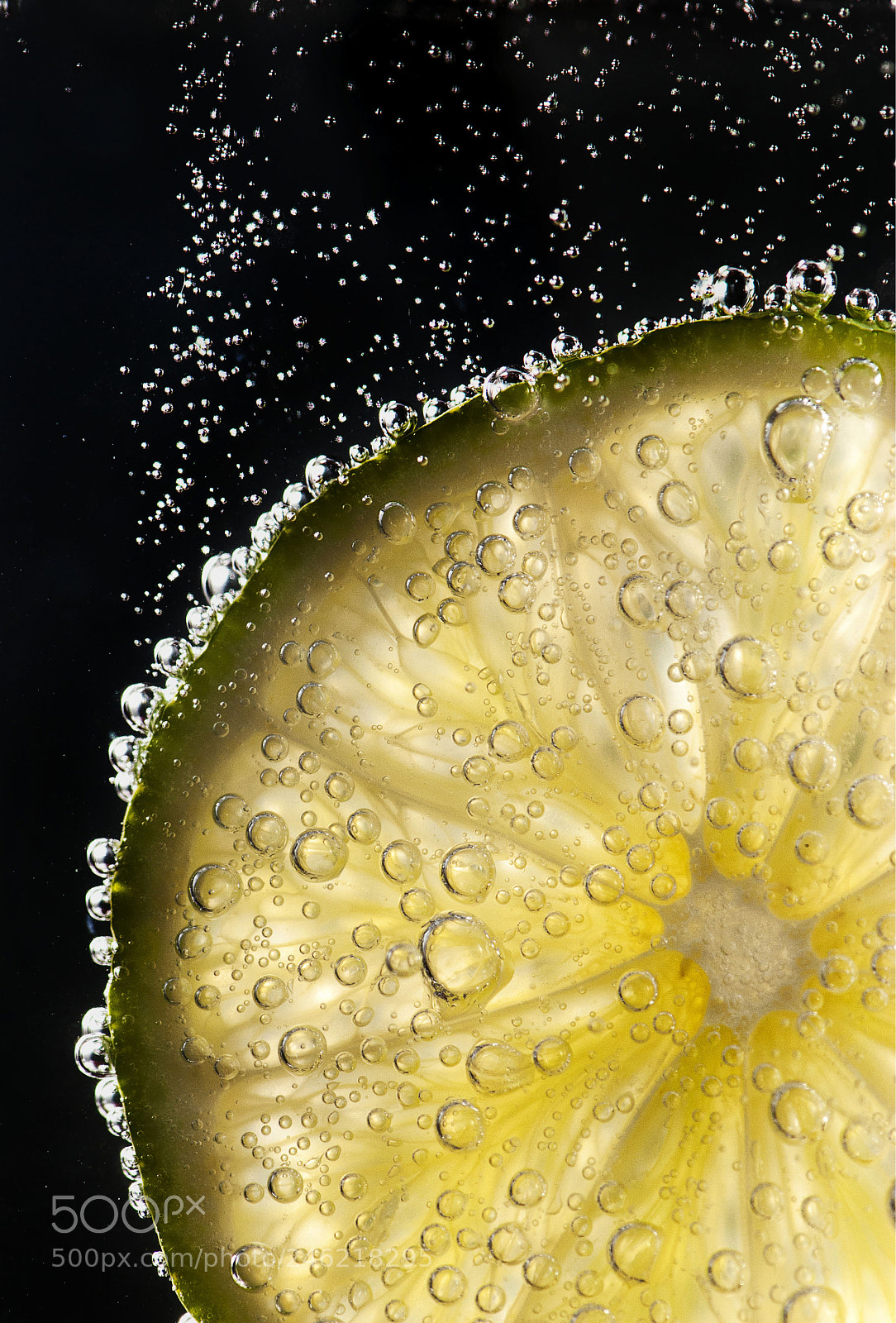 Nikon D60 sample photo. Lemon photography
