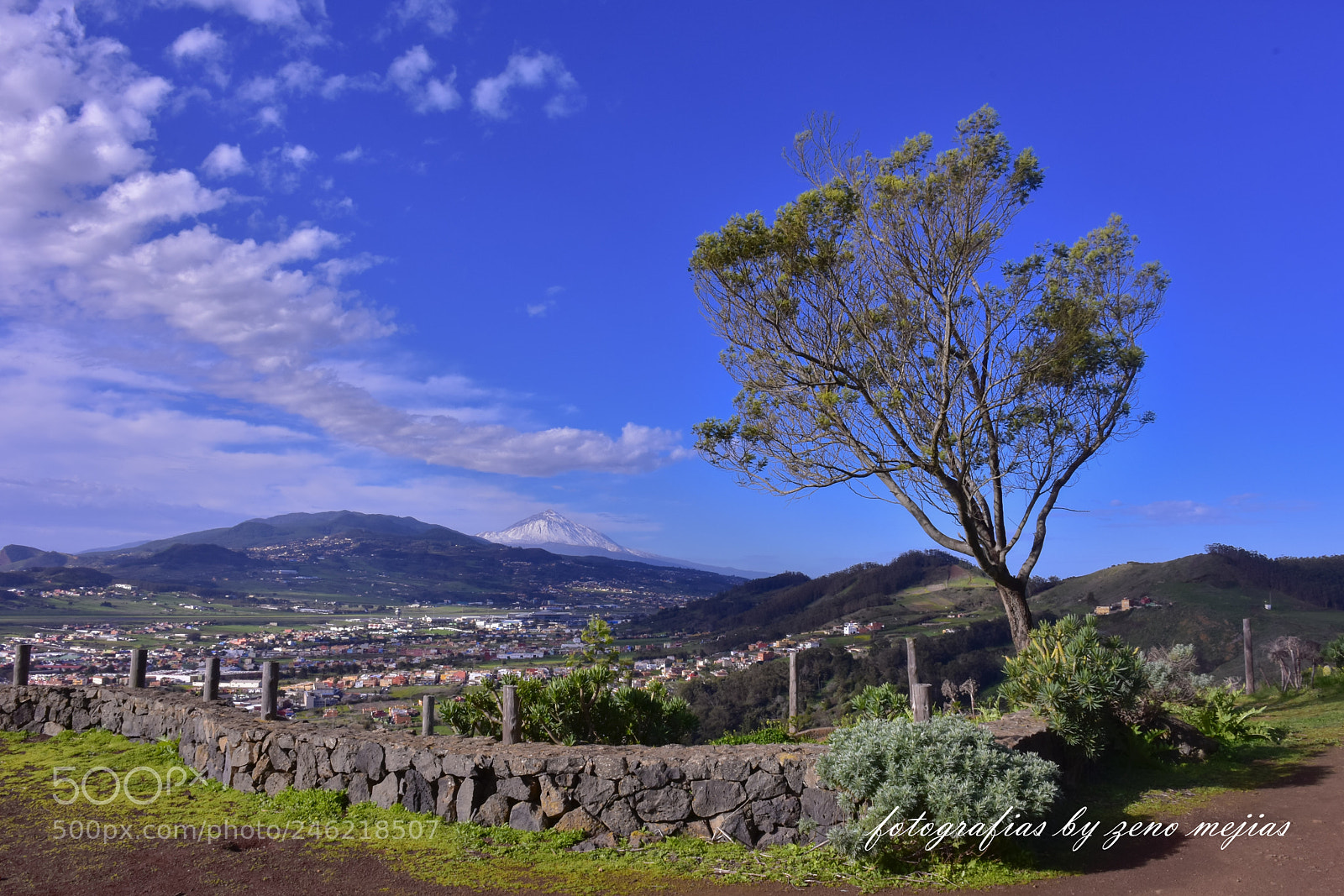 Nikon D7200 sample photo. Zeno mejias photography